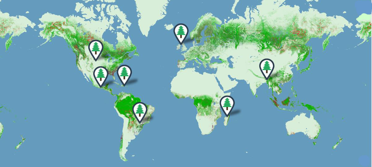 Forestry Map, PrintReleaf, Document Technologies